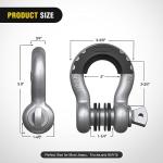 3/4" D-Ring Shackle - 2 Pack, Heavy Duty