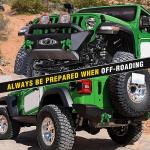 Heavy Duty D-Ring Shackle 2 Pack with Pins