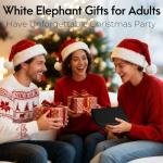 Coquimbo Portable Sewing Kit for Fun Gifts