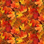 Fall Leaves Gold Metallic Quilt Fabric by the Yard