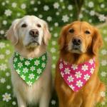 Confetti Brights 3 Yard Cotton Quilting Fabric