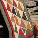 Leisure Arts Cozy Lap and Throw Quilts