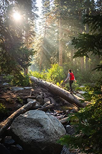 TETON Oasis 18L Hydration Pack: Ideal Hiking Backpack