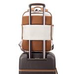 Delsey Paris Chatelet 2.0 Luxury Laptop Backpack