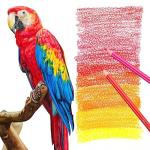 75 Pack Vibrant Colored Pencils for Adult Coloring