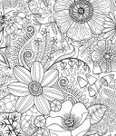 In the Forest - Adult Coloring Book