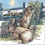 Nature Coloring Book: A Walk in the Woods