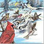 Nature Coloring Book: A Walk in the Woods