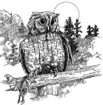 Nature Coloring Book: A Walk in the Woods