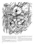 Nature Coloring Book: A Walk in the Woods