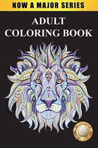 Stress Relief Adult Coloring Book with Inspiring Patterns