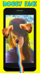 Face Turn Snap Pet Photo Editor