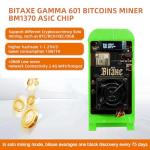 Gamma 601 Solo Bitcoin Miner 1.2TH/s