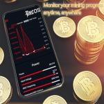 BeLuckyMan Gamma 601 Bitcoin Solo Miner 1.2TH/S