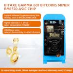 Gamma 601 Solo Miner: 1.2TH/s Crypto Machine