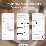 Canaan Avalon Nano 3S Bitcoin Miner with PSU