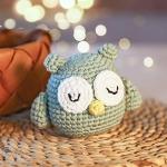 Beginner's Crochet Kit: Sleeping Owl Design