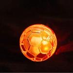 Touch Activated Ghost Hunting Pet Light Balls