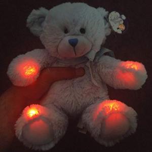 Rem Bear EMF Meter for Ghost Hunting