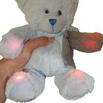 Rem Bear EMF Meter for Ghost Hunting