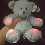 Rem Bear EMF Meter for Ghost Hunting
