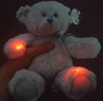 Rem Bear EMF Meter for Ghost Hunting