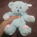 Rem Bear EMF Meter for Ghost Hunting