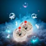 Light-Up Flashing Balls for Ghost Hunting Pets