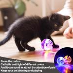 LED Flashing Cat Balls - Ghost Hunting Toy