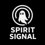 Ghost Hunting REM RADAR Spirit Activity Detector