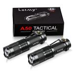2 Pack Small Bright LED Mini Torches