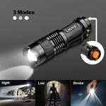 2 Pack Small Bright LED Mini Torches