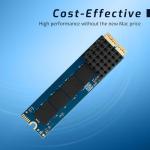 OWC 2.0TB Aura Pro X2 SSD for Macs