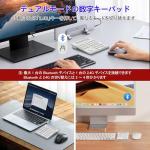 Bluetooth Wireless Number Pad & Calculator for Mac