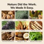 Ka’Chava Whole Body Meal Shake Vanilla 2 lb – Vegan Protein Powder with 85+ Superfoods & Greens – Plant-Based Meal Replacement with Probiotics & Digestive Enzymes – Gluten & Dairy Free (15 Servings)