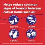 FELIWAY MultiCat Calming Diffuser Starter Kit