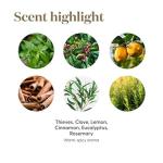 Young Living Thieves Household Cleaner, 14.4 oz