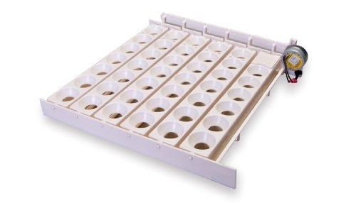 Automatic Egg Turner | 41 Eggs | Large Incubation Equipment
