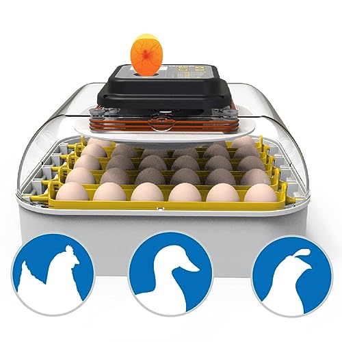 30 Egg Incubator with Humidity Display, Candler and Turner