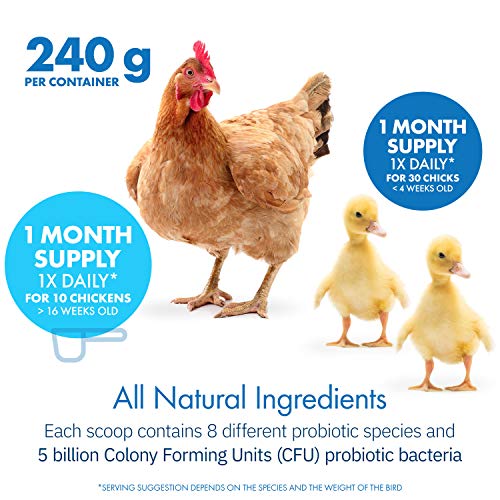 Equa Holistics HealthyGut Probiotics - All-Natural Chicken Supplement