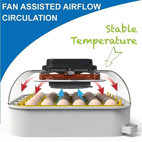 30 Egg Incubator with Humidity Display, Candler and Turner