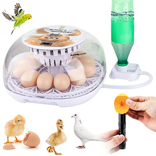 Safego Egg Incubator for Hatching Chicken Quail Duck