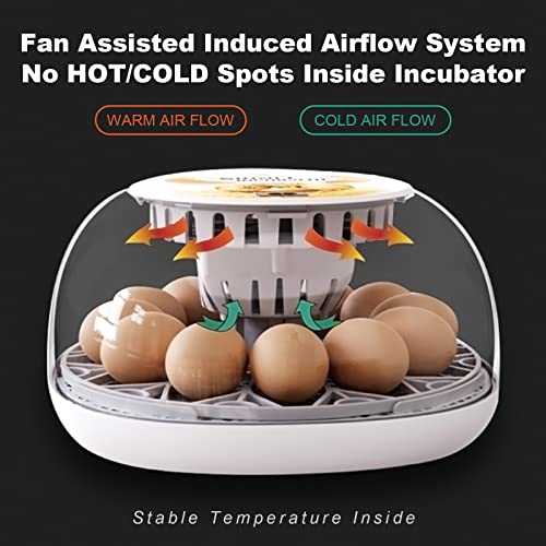 Safego Egg Incubator for Hatching Chicken Quail Duck