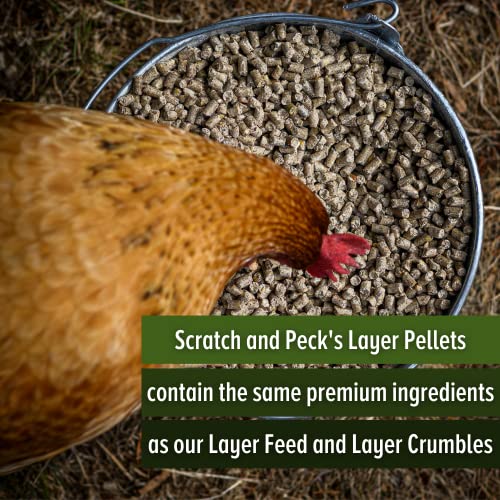 Organic Layer Pellets - High-Quality Chicken Feed