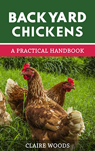 Practical Chickens Guide for Backyard Raising