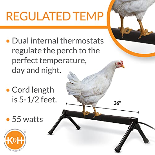 K&H Thermo-Chicken Perch - Warming Chicken Heater