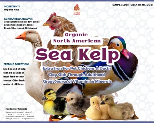 Organic Kelp: Vitamin Supplement for Chickens & Ducks