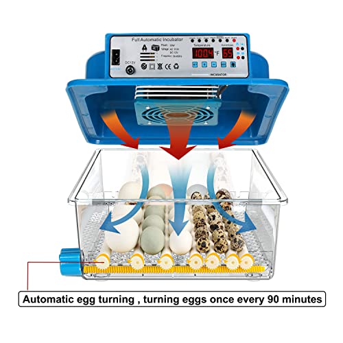 Vevitts 36 Eggs Incubator with Automatic Turner