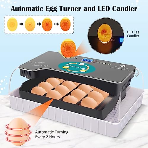 Fully Automatic Egg Incubator for Hatching Poultry