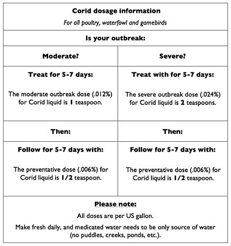 Coccidiosis Treatment for Chickens & Goats